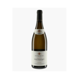 Montrachet Grand Cru 2020 | BOUCHARD PERE & FILS