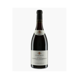 Chapelle-Chambertin Grand Cru 2019 | BOUCHARD PERE & FILS