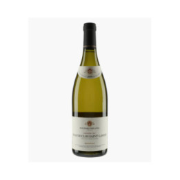 Beaune 1er Cru Clos Saint-Landry MONOPOLE | BOUCHARD PERE & FILS