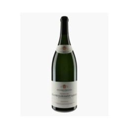Beaune 1er Cru Clos Saint-Landry MONOPOLE 2017 | BOUCHARD PERE & FILS
