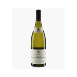 Beaune 1er Cru Clos Saint-Landry (Ex-Domaine 2023) 2011 | BOUCHARD PERE & FILS
