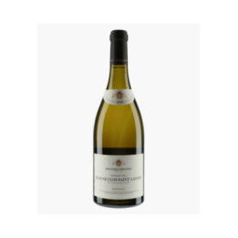 Beaune 1er Cru Clos Saint-Landry (Ex-Domaine 2023) | BOUCHARD PERE & FILS