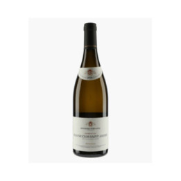 Beaune 1er Cru Clos Saint-Landry (Ex-Domaine 2023) | BOUCHARD PERE & FILS