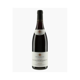 Beaune 1er Cru Clos de la Mousse (Ex-Domaine 2023) | BOUCHARD PERE & FILS