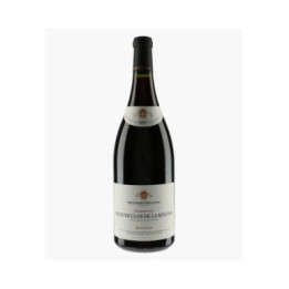 Beaune 1er Cru Clos de la Mousse (Ex-Domaine 2023) 2017 | BOUCHARD PERE & FILS