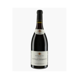 Chapelle-Chambertin Grand Cru (Ex-Domaine 2023) | BOUCHARD PERE & FILS