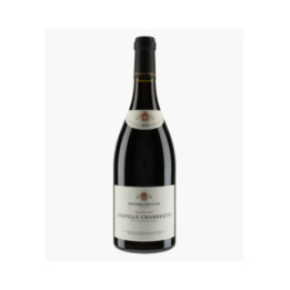 Chapelle-Chambertin Grand Cru (Ex-Domaine 2023) | BOUCHARD PERE & FILS