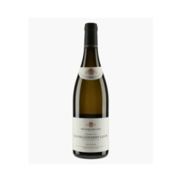 Beaune 1er Cru Clos Saint-Landry MONOPOLE | BOUCHARD PERE & FILS