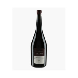 Cornas 2022 | DOMAINE DU TUNNEL