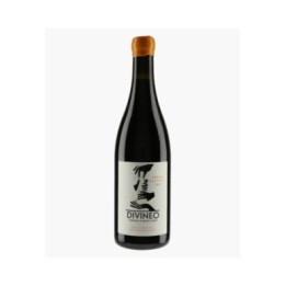 Vin de France Syrah Sauvage | DIVINEO