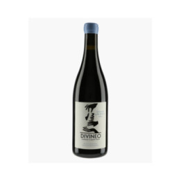 Vin de France Syrah de Robiac | DIVINEO