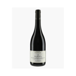 Bourgogne Hautes-Côtes de Beaune En Château 2023 | NICOLAS