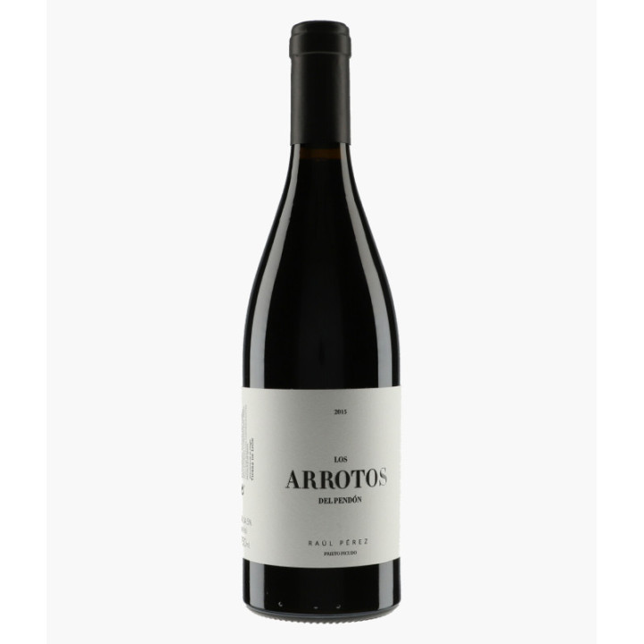 Arrotos del Pendon 2015 | PEREZ RAUL