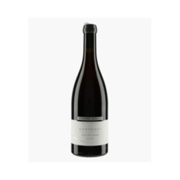Santenay Vieilles Vignes | COLIN BRUNO