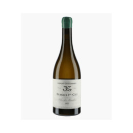 Beaune 1er Cru Clos des Mouches | VIOLOT-GUILLEMARD JOANNES