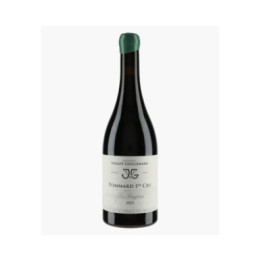 Pommard 1er Cru Les Rugiens | VIOLOT-GUILLEMARD JOANNES