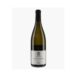 Assyrtiko | MOINOTERRA