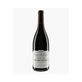 Clos-de-Vougeot Grand Cru 2019 | MEO-CAMUZET