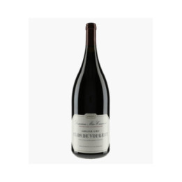 Clos-de-Vougeot Grand Cru 2021 | MEO-CAMUZET