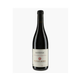 Santenay 1er Cru Grand Clos Rousseau | MOREY SYLVAIN