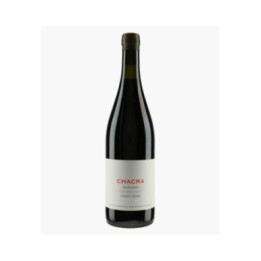 Pinot Noir Cincuenta Y Cinco 2022 | BODEGA CHACRA