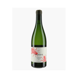 Chardonnay Mainqué 2024 | BODEGA CHACRA