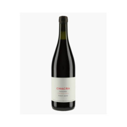 Pinot Noir Cincuenta Y Cinco 2024 | BODEGA CHACRA