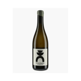 Muscadet Fief de Chaintre 2023 | HARDY JEAN-BAPTISTE