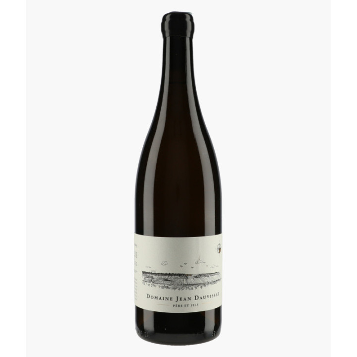 Chablis 1er Cru Vaillons Châtain 2023 | DAUVISSAT JEAN & FILS