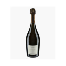 Champagne Ay Grand Cru Vallée 2014 | MONTS FOURNOIS
