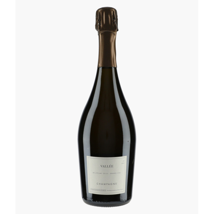 Champagne Ay Grand Cru Vallée | MONTS FOURNOIS