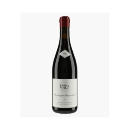 Chassagne-Montrachet 1er Cru Morgeot | LAMY-PILLOT