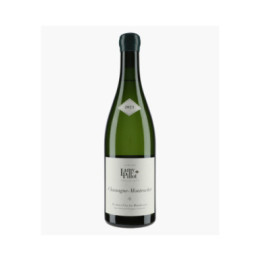Chassagne-Montrachet 1er Cru La Boudriotte | LAMY-PILLOT