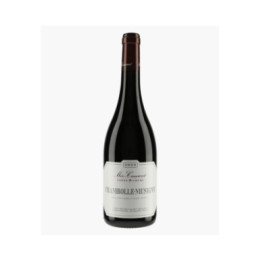 Chambolle-Musigny | MEO-CAMUZET Frère & Soeurs