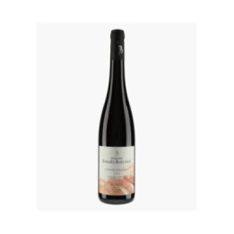 Pinot Noir Côteaux Calcaire 2024 | BARMES-BUECHER