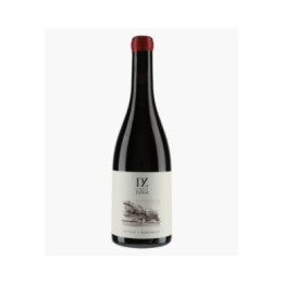 Initiale | ZURIA DOMAINE