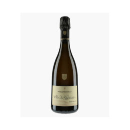 Champagne Clos des Goisses | PHILIPPONNAT