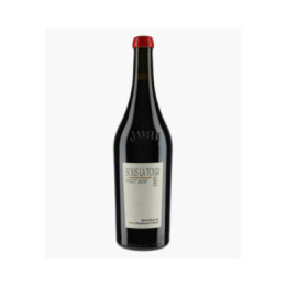 Arbois Pinot Noir Sous la Tour | TISSOT STEPHANE