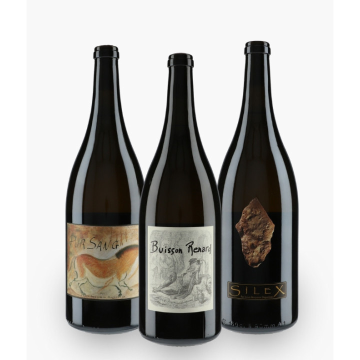 Horizontale Grands Formats Dagueneau - confidentiel | DAGUENEAU LOUIS-BENJAMIN