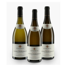 Verticale Grands Crus Bouchard | BOUCHARD PERE & FILS