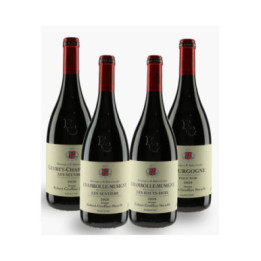 Horizontale Groffier 2020 | GROFFIER ROBERT PERE & FILS