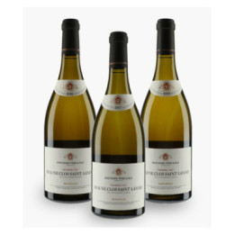 Verticale Clos St Landry 2016/2017/2018 Bouchard Père & Fils | BOUCHARD PERE & FILS