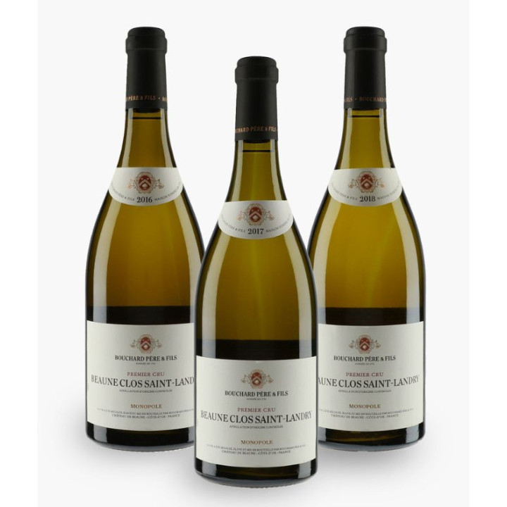 Verticale Clos St Landry 2016/2017/2018 Bouchard Père & Fils | BOUCHARD PERE & FILS
