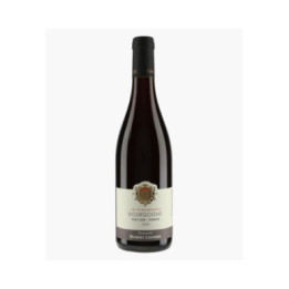 Bourgogne Pinot Noir Symbiose | LIGNIER HUBERT