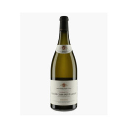 Beaune 1er Cru Clos Saint-Landry MONOPOLE | BOUCHARD PERE & FILS