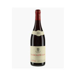 Chambolle-Musigny | BERTHEAU FRANCOIS