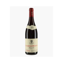 Chambolle-Musigny 1er Cru | BERTHEAU FRANCOIS