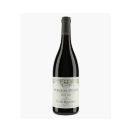 Bourgogne Côte d'Or Pinot Noir | BOUZEREAU MICHEL