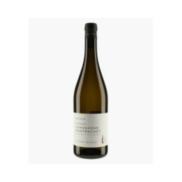 Chassagne-Montrachet 1er Cru Morgeot | DANCER VINCENT