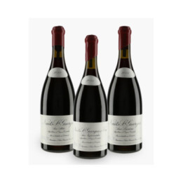Horizontale Nuits-Saint-Georges Domaine Leroy 2011 | LEROY DOMAINE